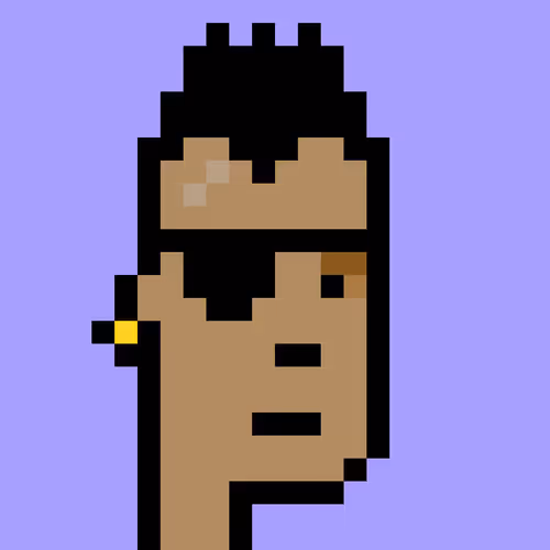 V1 PUNK #8666