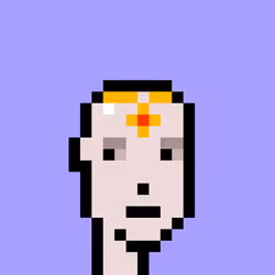 V1 PUNK #9452