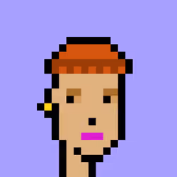 V1 PUNK #6070