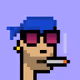 V1 PUNK #7334