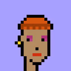 V1 PUNK #9271