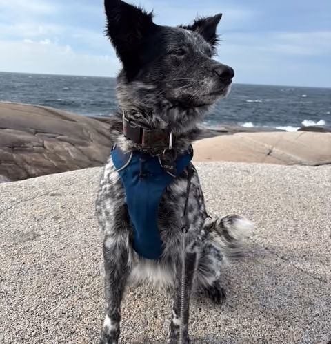 By the water
