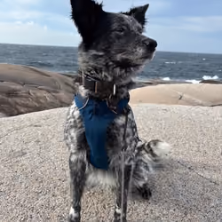By the water