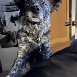 Are you ok?