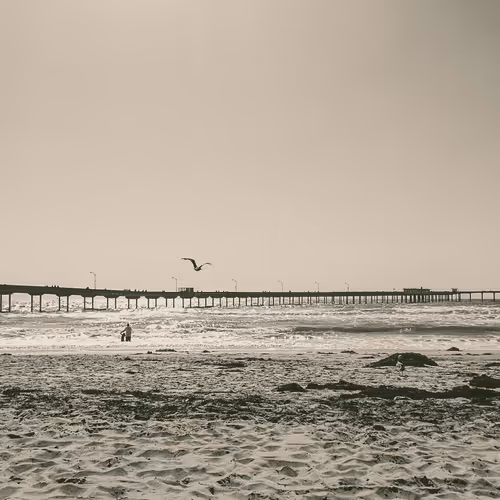 Editions by Perry Azevedo