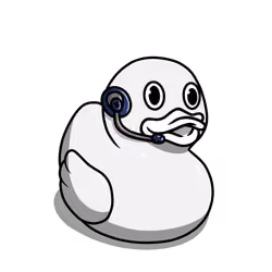 #144