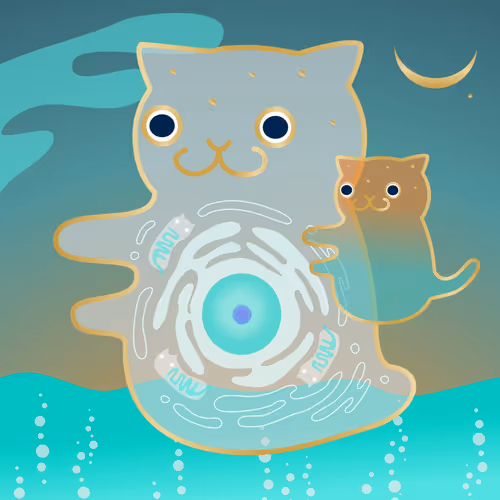 Umucos Art
