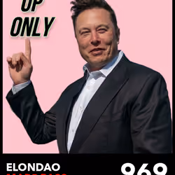 ElonDAO Pass #969