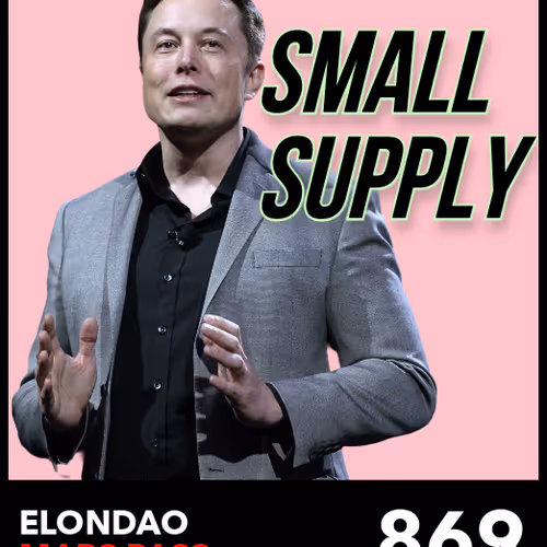 ElonDAO Pass #869