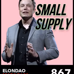 ElonDAO Pass #867