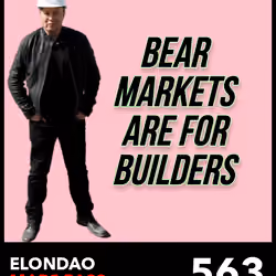 ElonDAO Pass #563