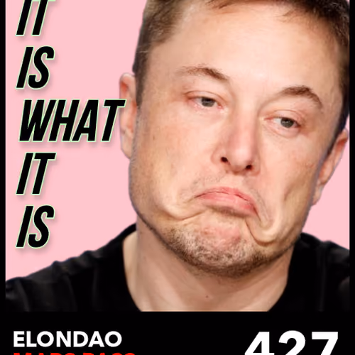 ElonDAO Pass #427