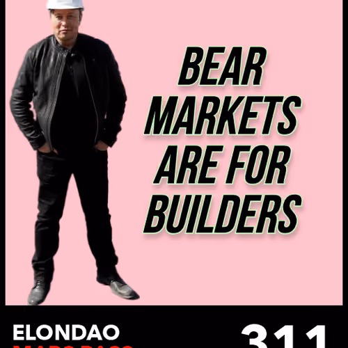 ElonDAO Pass #311
