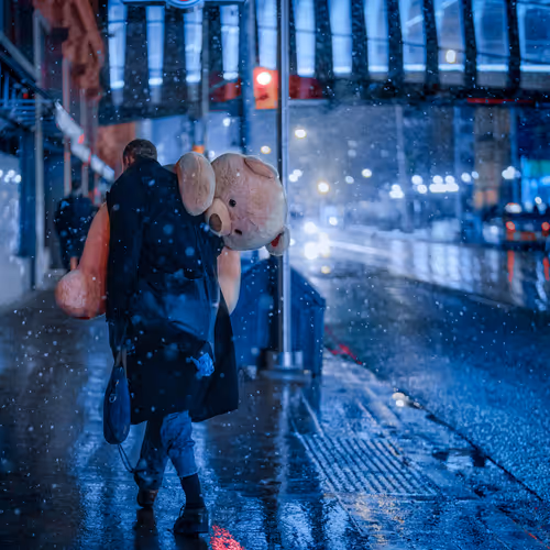 Bear Hug Editions By Ashton Tekno