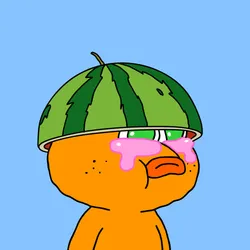 293