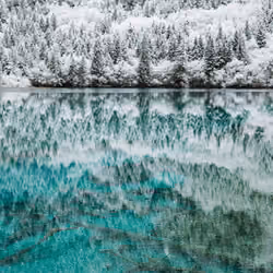 Seasons of Jiuzhaigou #31