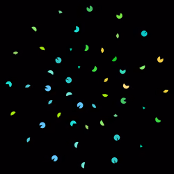 256