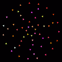 204
