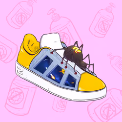 SHOEz #591