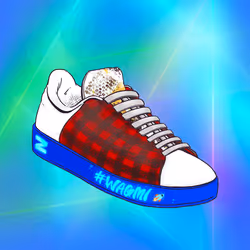 SHOEz #510