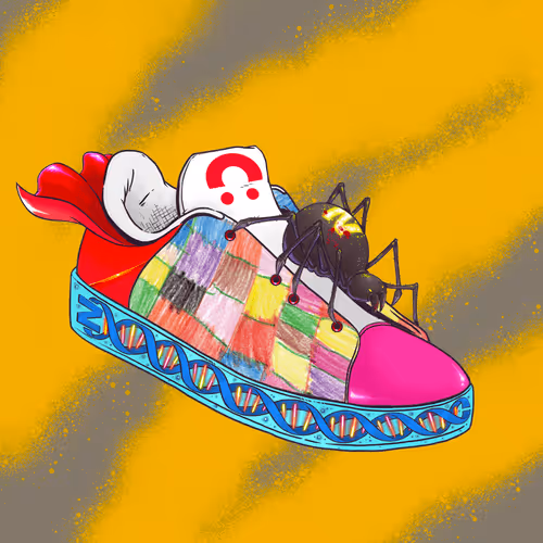 SHOEz #498