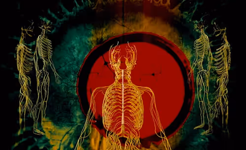 In The End It Was All A Smile: The Nervous System Series 03 #11