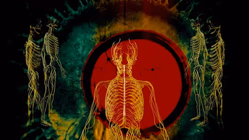 Item #31030006 Media