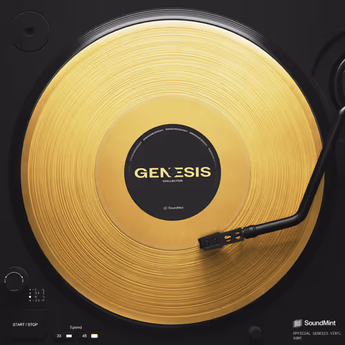 Soundmint Vinyl