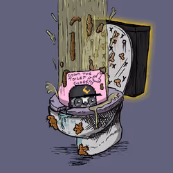 43