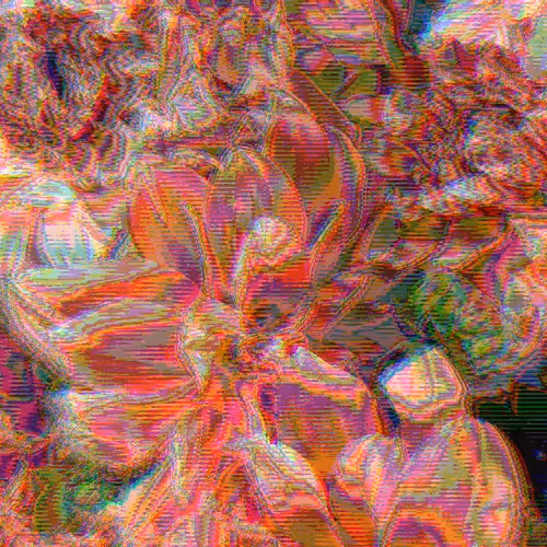 IN BLOOM #1