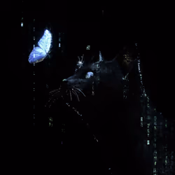 REALITY - Matrix theme