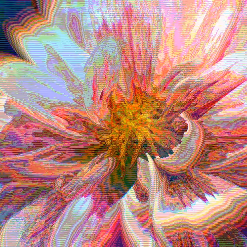 IN BLOOM #4