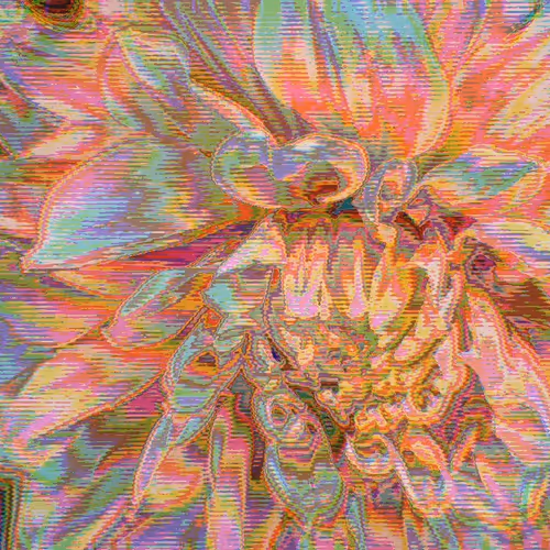 IN BLOOM #5