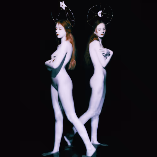 The Swan Princess