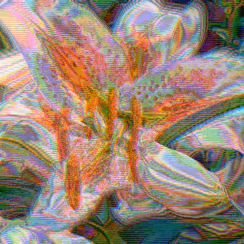 IN BLOOM #3