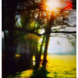 'nature beckons again...' (animated)