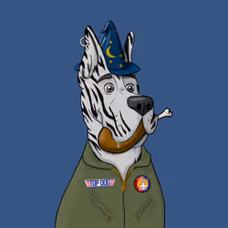 31