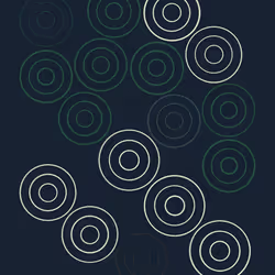 244