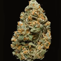 Nothing But Nugz