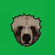 80