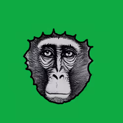 49