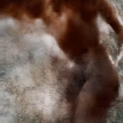 Claimed Nudity