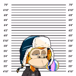 51