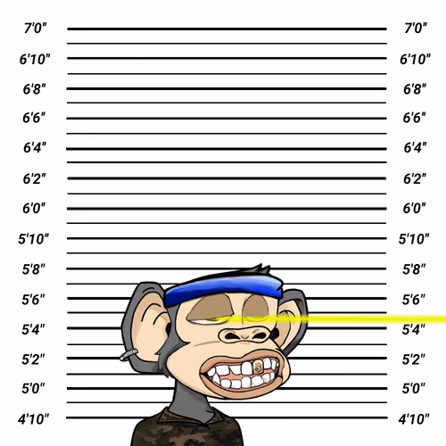 Jailed Baby Ape Club #427