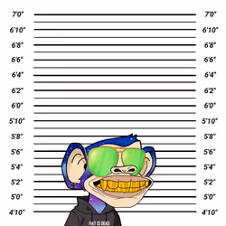 4751