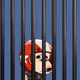 419
