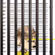 1791