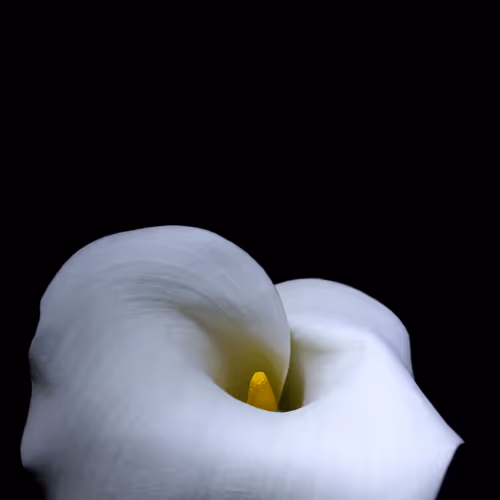 Untouched Beauty