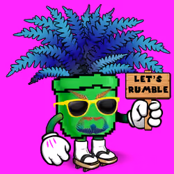 FernDaddy #1053