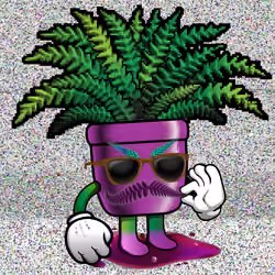 FernDaddy #78
